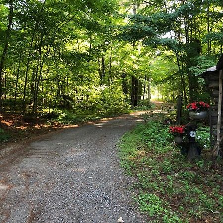 그라벤허스트 Country Living B&B 외부 사진
