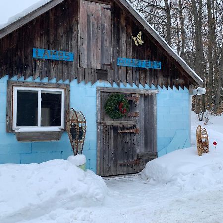 그라벤허스트 Country Living B&B 외부 사진