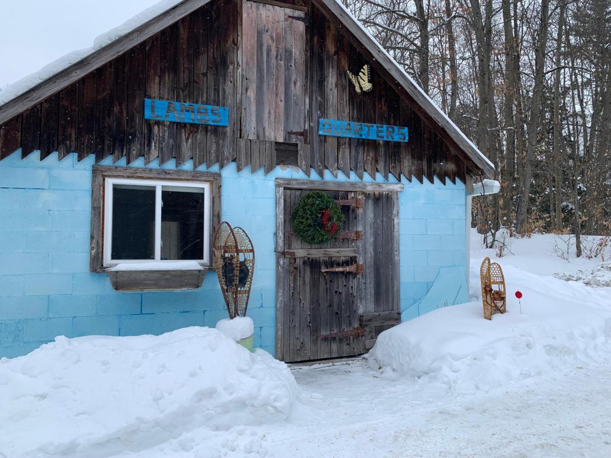 그라벤허스트 Country Living B&B 외부 사진